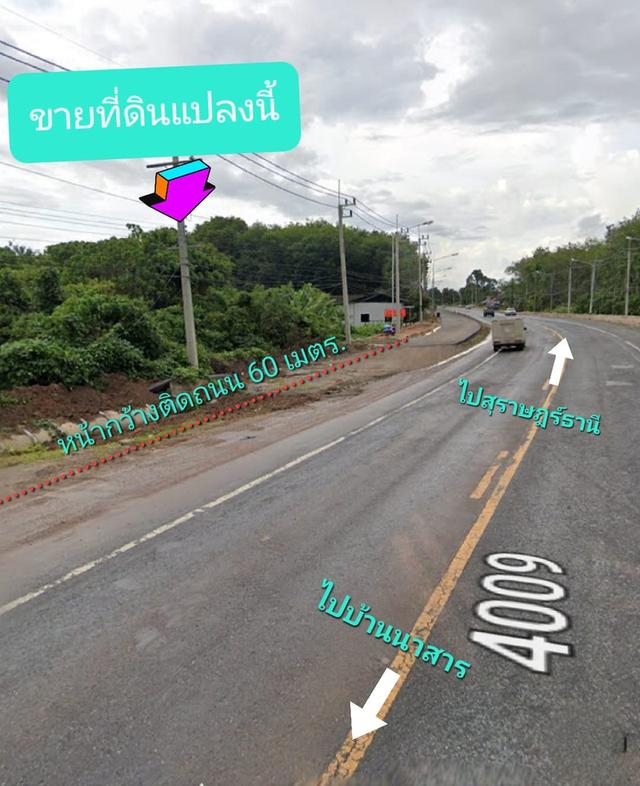 ขายที่ดินติดถนน อำเภอบ้านนาสาร สุราษฯ