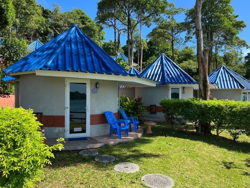 รีสอร์ทเกาะหมาก8ไร่3งาน 6