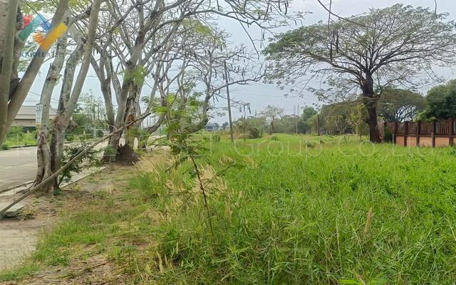 ที่ดิน วินด์เซอร์ ปาร์ค แอนด์ กอล์ฟคลับ 7