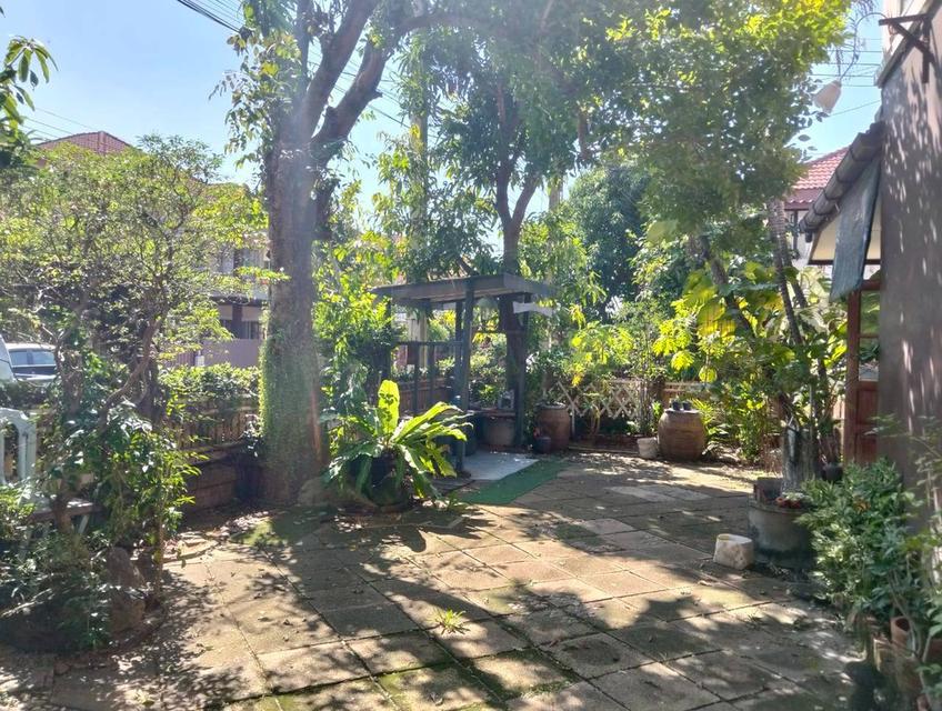 ขายบ้านเดี่ยว 2 ชั้น หลังมุม หมู่บ้านฉัตรหลวง8 เฟส2 สามโคก ปทุมธานี 4