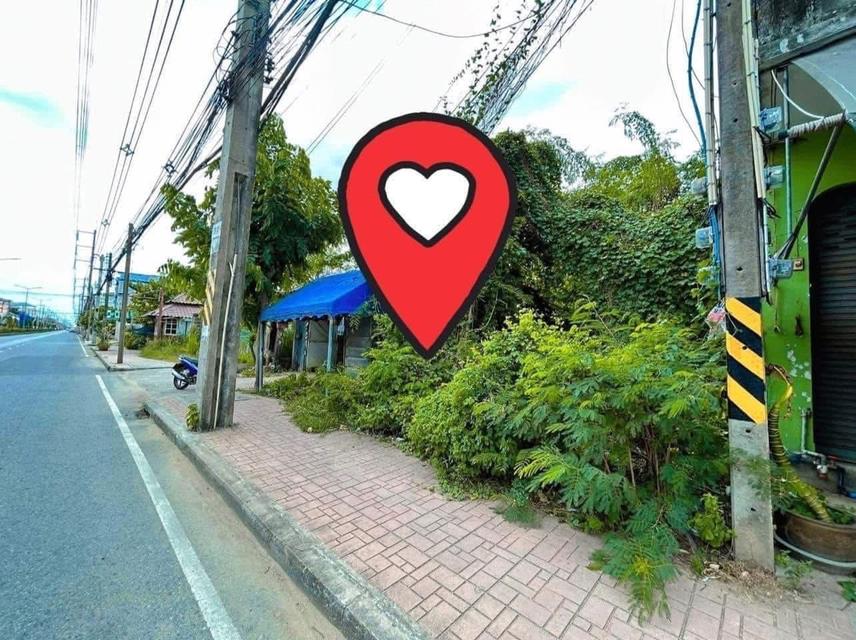 ขายที่ดิน ตลาดพนัส ใกล้ รร.วน ติดถนนหลักพนัส-แปดริ้ว(ถนนจุรวร)ตัวเมืองพนัสนิคม จ.ชลบุรี ราคา 2,500,000 ฿ 3