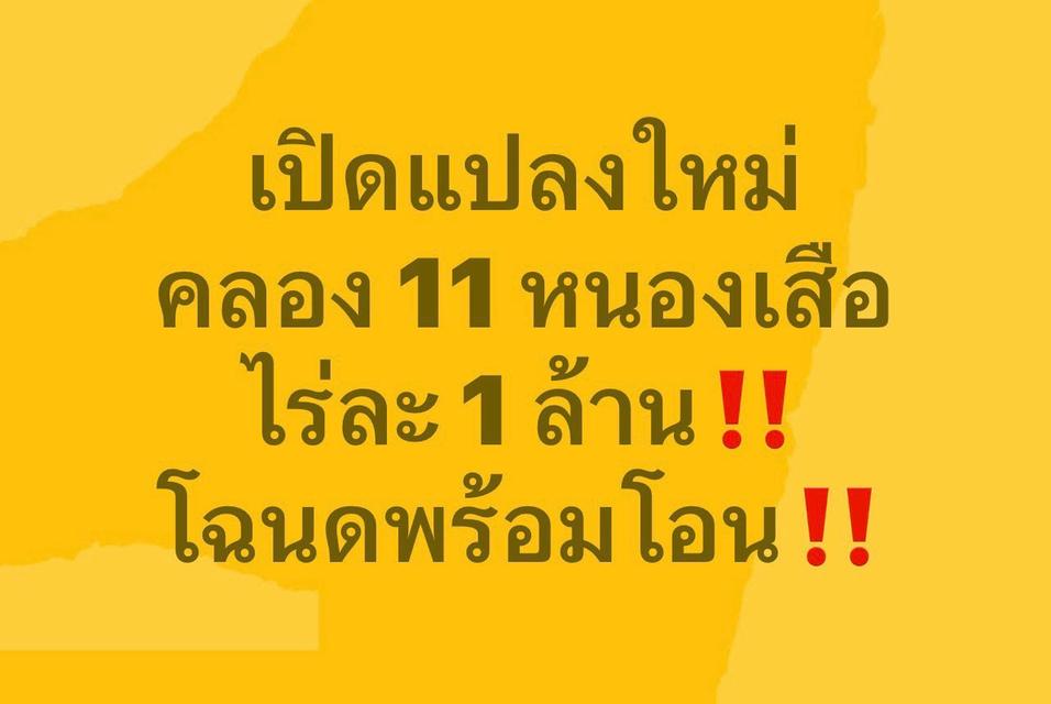 ขายที่ดินเปิดแปลงใหม่ คลอง 11 ตำบล บึงบา อำเภอ หนองเสือ ปทุมธานี 2
