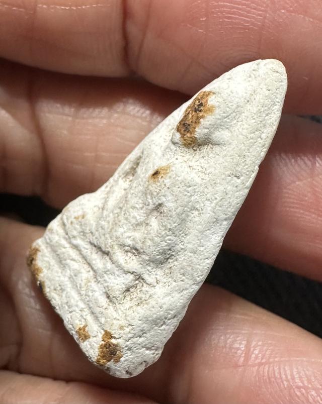 องค์ละ900🙏พระผงรูปเหมือน ล.ป.เผือก วัดกิ่งแก้ว รูปที่ 4