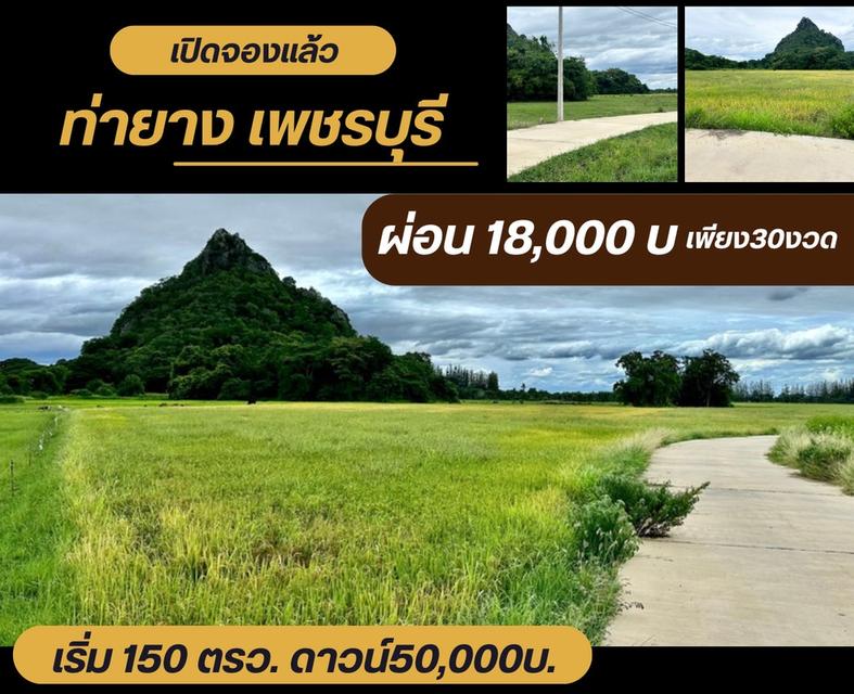ที่ดิน ท่ายาง จ.เพชรบุรี