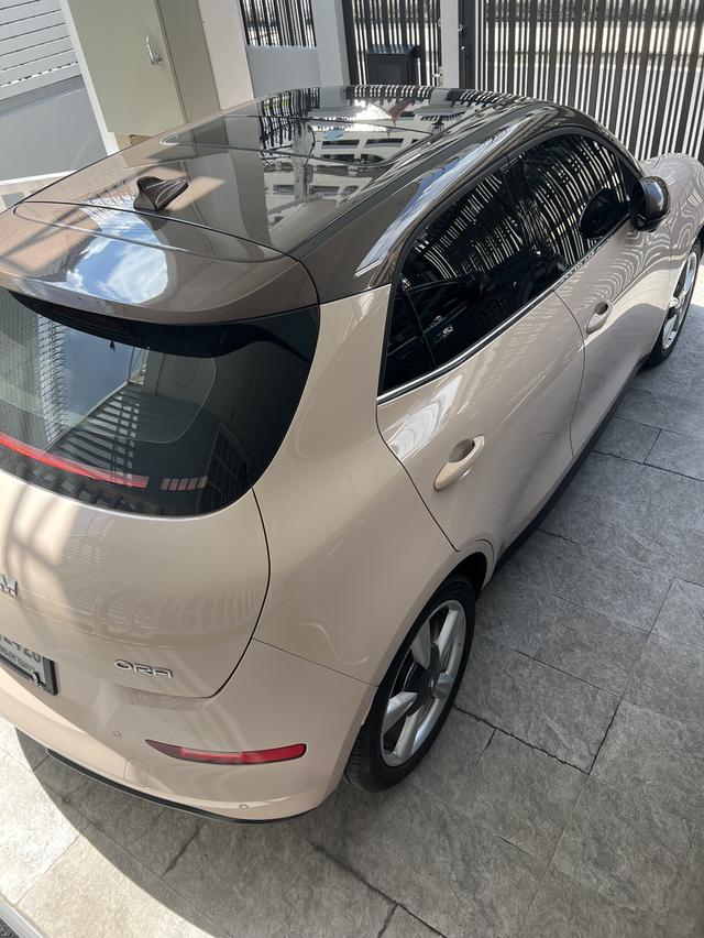 Ora Good Cat ปี 2025