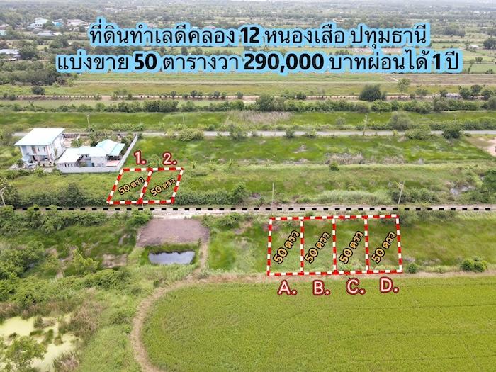 ที่ดิน หนองเสือ ปทุมธานี ขนาด 50 ตร.วา 290,000 2