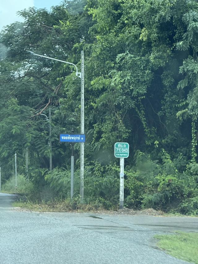 ที่ดิน 10