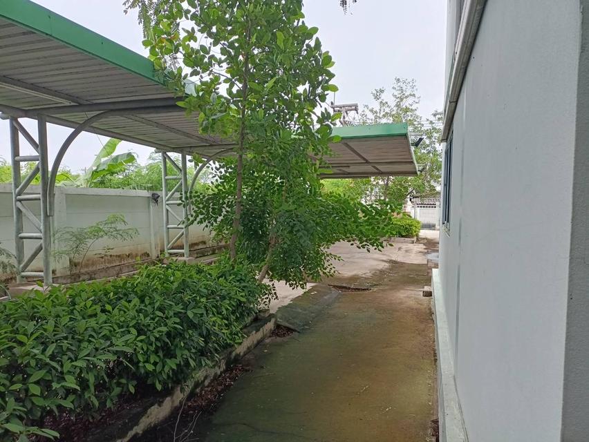 ที่ดิน พร้อม อาคารโรงงาน 12