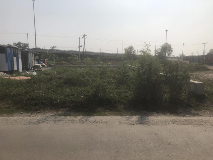 ที่ดิน คลองสาม คลองหลวง เนื้อที่ 50 ตารางวา 3