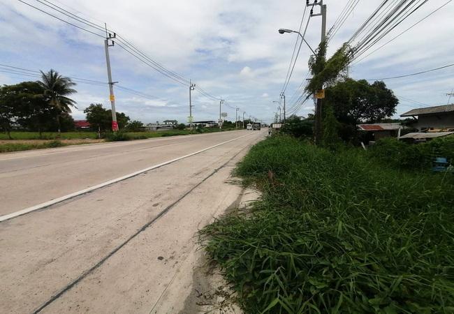 ขายที่ดิน ติดถนนบ้านกล้วย-ไทรน้อย ตำบลไทรน้อย อำเภอไทรน้อย นนทบุรี 7