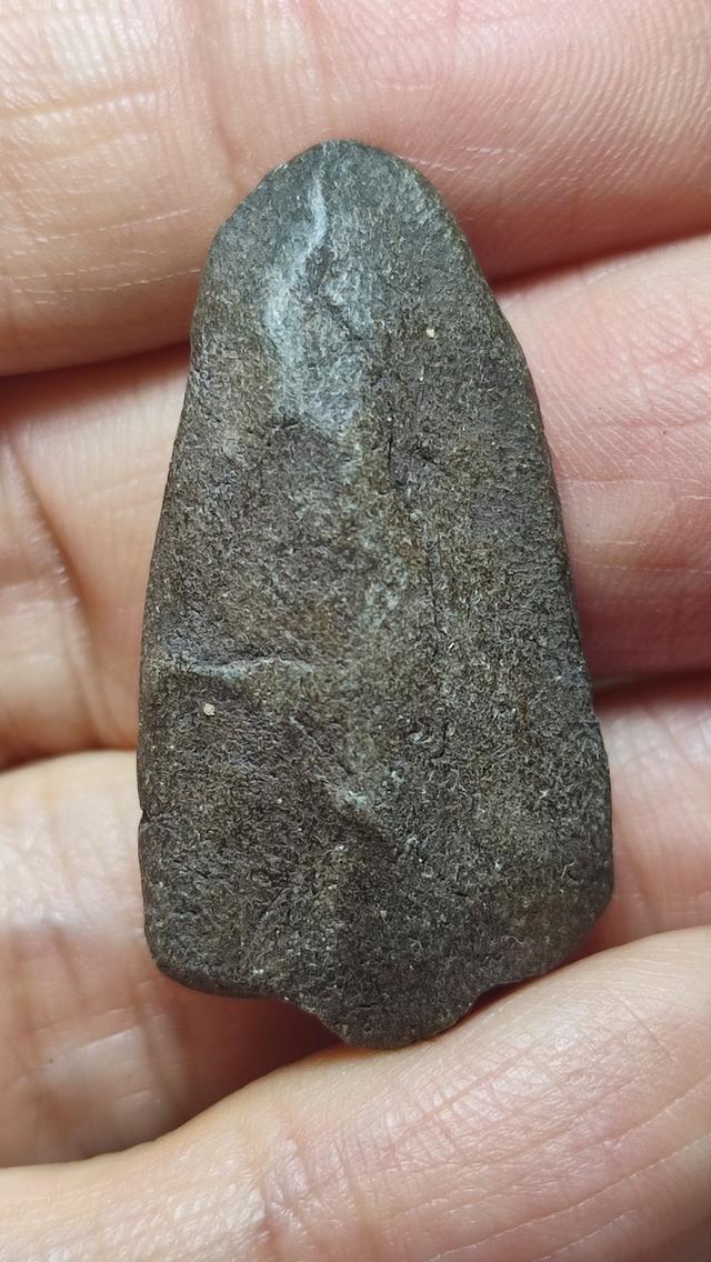 หลวงปู่ทวด เนื้อว่าน เนื้อหาแห่งเก่า รูปที่ 2