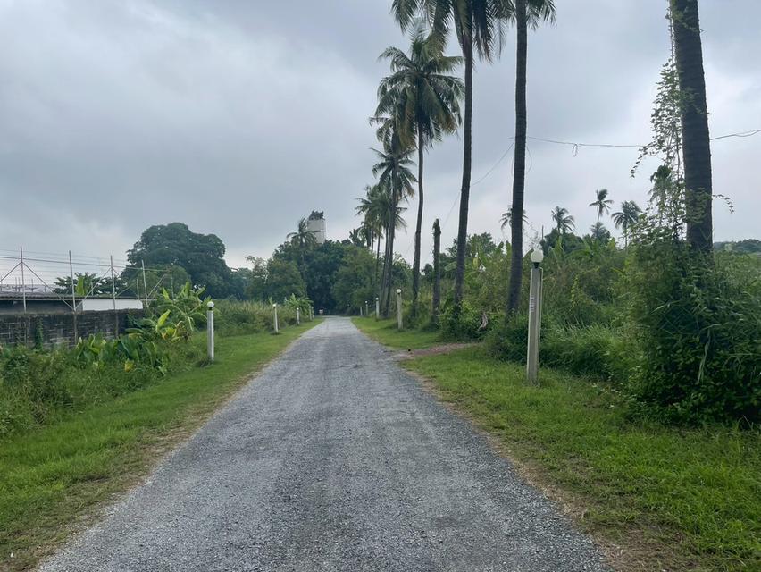 ที่ดินริมแม่น้ำท่าจีน 16-0-68 ไร่ สามพราน นครปฐม 7