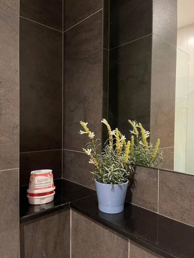 ให้เช่าคอนโด Urbano ราชวิถี 3