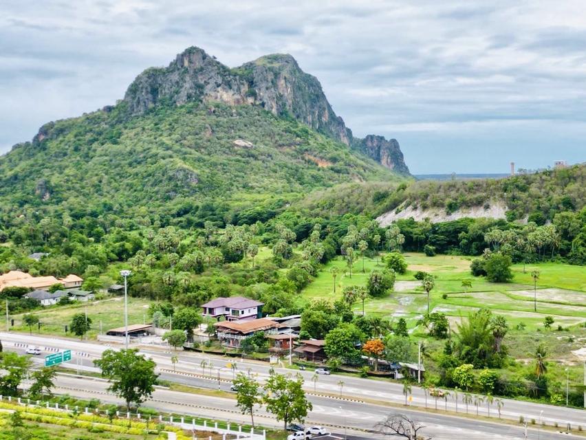 ขายที่ดิน อ.ชะอำ 17 ไร่ 2 งาน ติดถนนเพชรเกษม  ด้านหลังวิวภูเขา 3