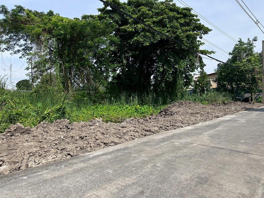 ที่ดิน 10