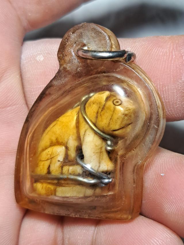 เปิดครับเครื่องราง ของขลัง รูปที่ 4