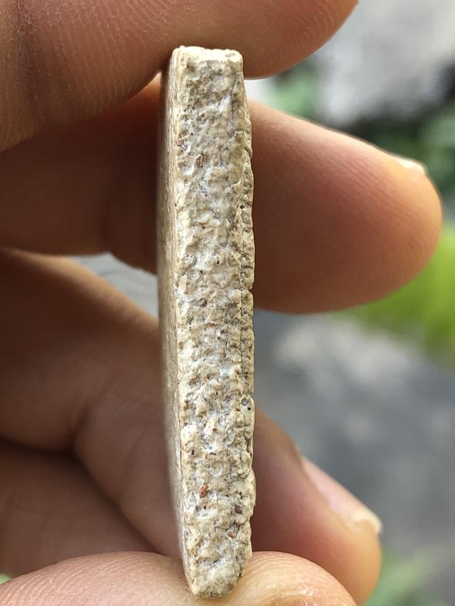 พระสมเด็จวัดระฆังพิมพ์ใหญ่ รูปที่ 3