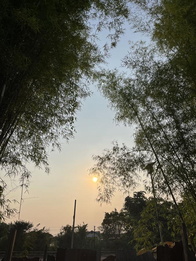 🔥 ที่ดินวิวพระอาทิตย์ตก ใจกลางอุดร 100 ตรว. ทำเลหายาก! ใกล้ UD TOWN 🌅 3