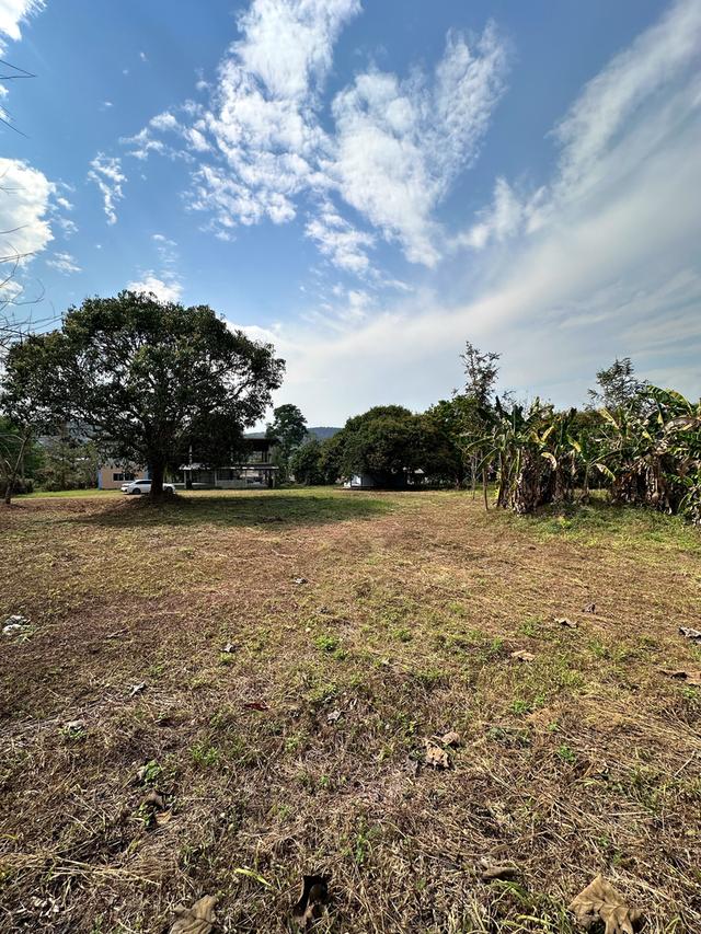 ขายที่ดินเปล่าพร้อมโกดังและบ้าน บ้านจำปู ต.เจริญเมือง อ.พาน จ.เชียงราย 57120 15