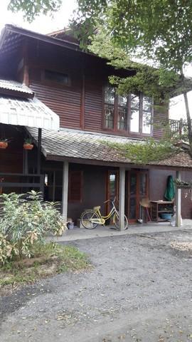 🏡 บ้านไม้ริมน้ำปิง พร้อมที่ดินผืนใหญ่ บรรยากาศธรรมชาติ 14