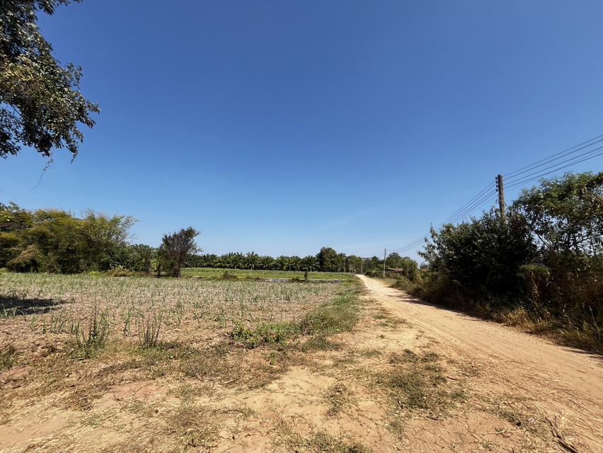 ขายที่ดินสำหรับทำการเกษตร ในเขตอำเภอเมือง ขอนแก่น 2