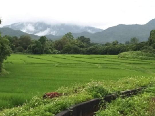 ที่ดินติดลำธารวิวเขาล้อมรอบ 10