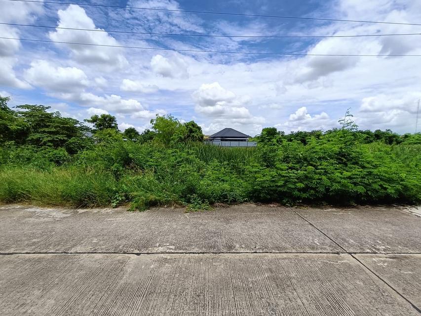 ที่ดินจังหวัดสุพรรณบุรี ทำเลใจกลางเมือง ราคาคุยกันก่อนได้ 5