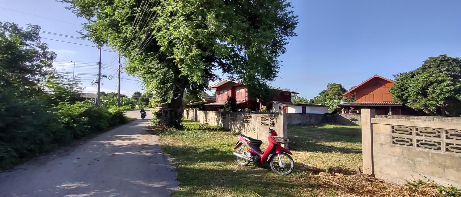 ที่สำหรับสร้างบ้าน 115ตรว 490,000อยู่บ้านนาแก้วตะวันออก ต.นาแส่ง อ.เกาะคา จ.ลำปาง วิวเขา วิวทุ่งนา อยู่กลางชุมชนห่างถนนพหลโยธิน 80เมตร ห่าง7-1 19