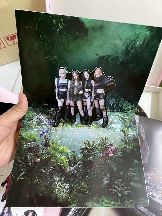 ชุดเซ็ตไวนิล(แผ่นเสียง) บอนด์พิ้งค์ 4