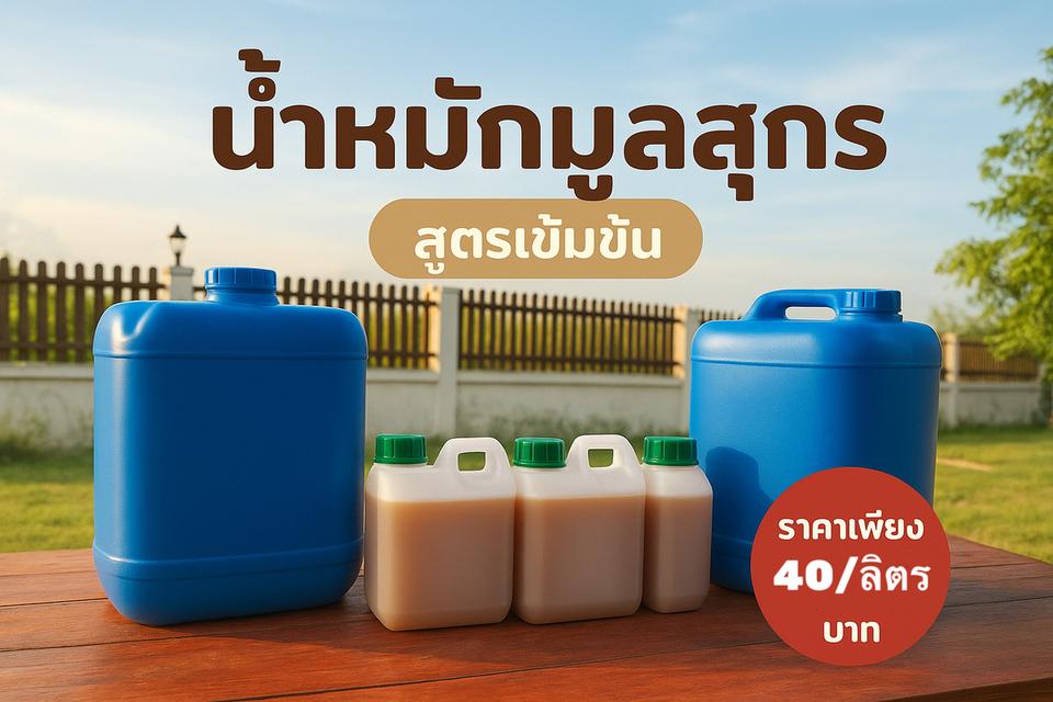 น้ำหมักมูลสุกรแท้100% 5