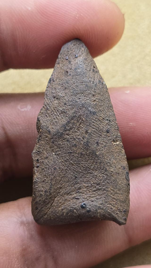 พระเลี่ยงลำพูน เนื้อเขียว 2