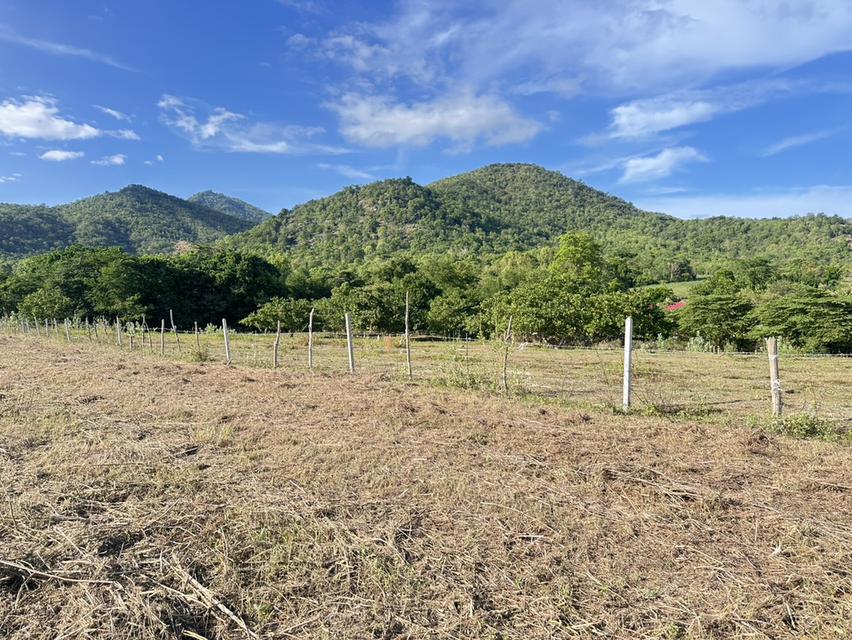 ที่ดิน พุหวาย ชะอำ จ เพชรบุรี ขนาด 6.375 ไร่  17