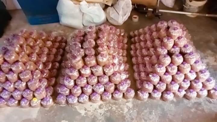 ก้อนเชื้อเห็ดโคนน้อย พร้อมคู่มือการดูแล 8