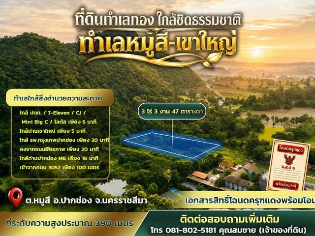 ที่ดินทำเลทอง ขนาด 3 ไร่ 3 งาน 47 ตารางวา หมู่สี - เขาใหญ่ ทำเลศักยภาพสูงในโซนเขาใหญ่ 6
