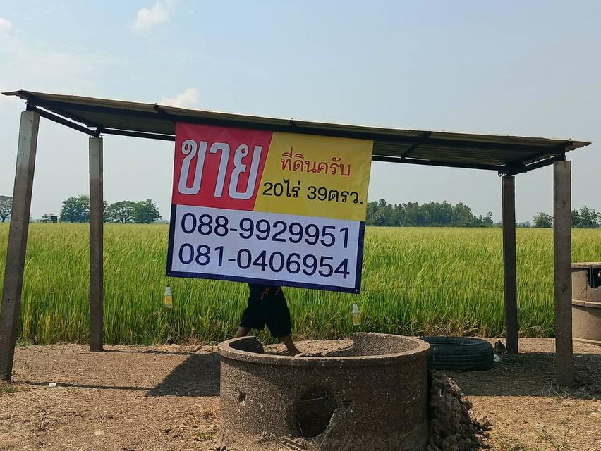 ขายที่นา20ไร่ ไร่ละ 90,000 1