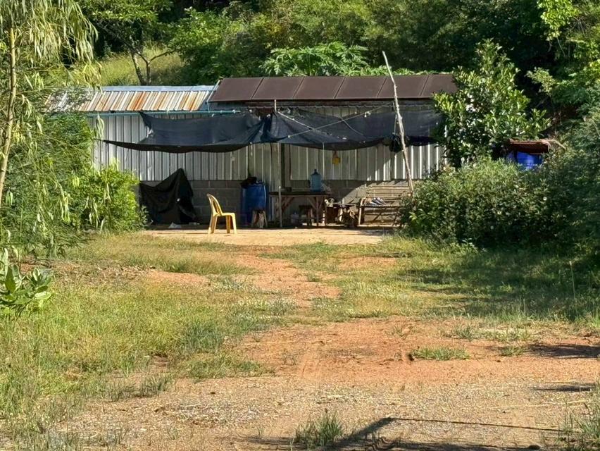 ที่ดิน 66ไร่ติดเขา อ.ห้วยกระเจา พร้อมแปลงไผ่ สระเก็บน้ำและบ้านพักคนงาน 7