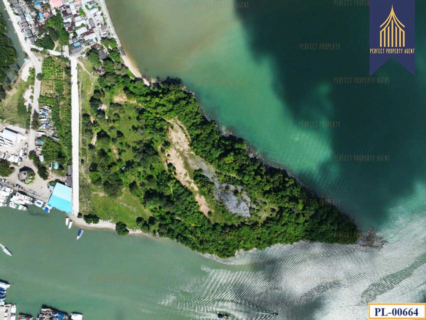 ขายที่ดิน ติดทะเล 51 ไร่ ภูเก็ต เกาะสิเหร่ ใกล้ท่าเรือรัษฎา ไปเกาะพีพีและอ่าวต้นไทร 9