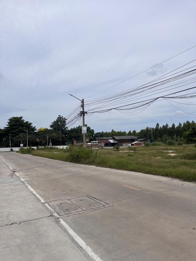 ขายที่ดิน ชลบุรี 4