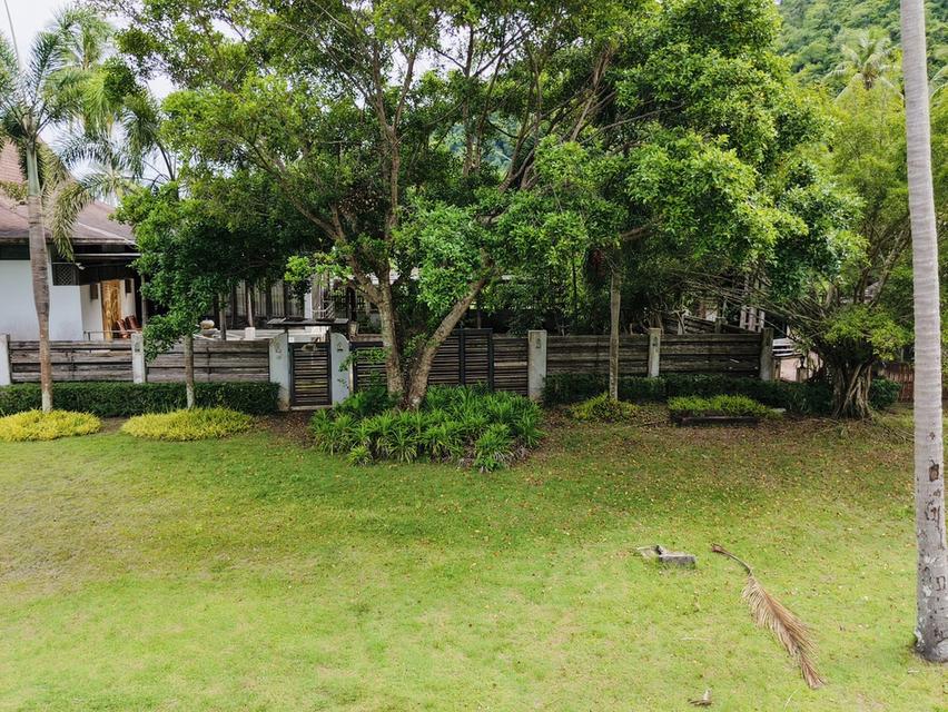 🌊 🌅ที่ดินติดทะเล…ที่คุณเดินลงหาดได้จากหน้าบ้าน หน้ากว้างติดทะเล 53 เมตร 🏖️ 3