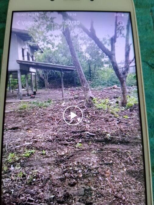 ขายที่ดิน กทม. ใกล้รถไฟฟ้า 200 ตร.ว. พร้อมบ้านยกพื้นสูง 1