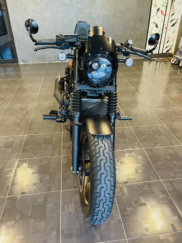 Rebel500/2024 4