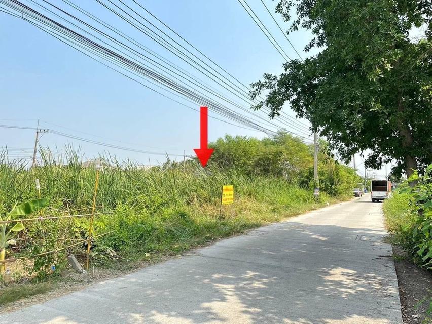 ขายที่ดินต้นซอยบงกช 43 ซอยบงกช 43 ถนนเลียบคลอง 2 ต.คลองหลวง อ.คลองหลวง จ.ปทุมธานี  3