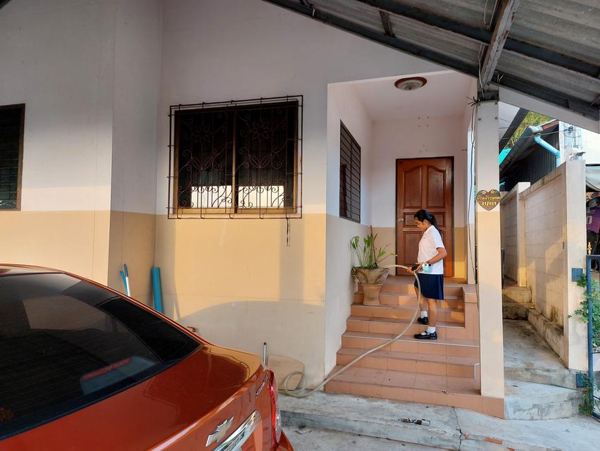 บ้านเดี่ยวบนเขา 54 ตรว. 2 ห้อนนอนใหญ่ 4x4 เมตร พร้อมโรงจอดรถเล็กได้ 2 คัน มีรั้วรอบขอบชิด มีมุ้งลวด เหล็กดัด ผ้าม่าน แอร์ เครื่อวทำน้ำอุ่น ครัว 5