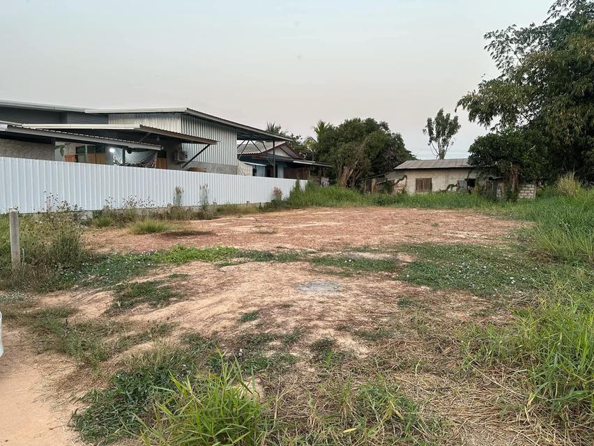 ที่ดินในเขตเทศบาลวัดโบสถ์ อำเภอวัดโบสถ์ จังหวัดพิษณุโลก 3