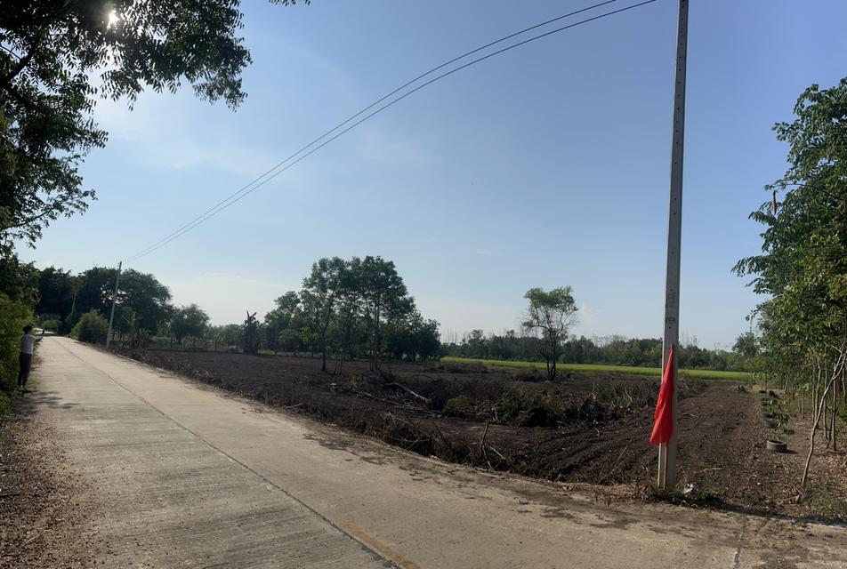 ขายที่ดิน 2 ไร่ คลองหก ปทุมธานี ราคาถูกสุดในย่านนี้ 3