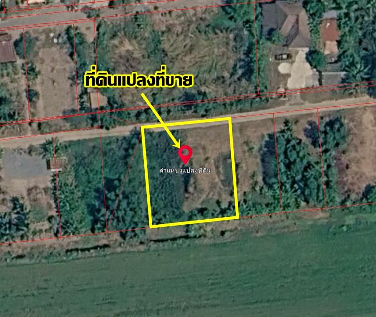 ขายที่ดินเปล่า คลองสิบ หนองจอก ใกล้โรงเรียนสุเหร่าคลองสิบเอ็ด 6