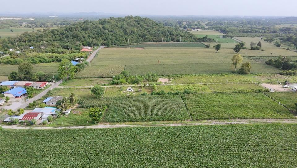 ขายที่ดินโฉนดครุฑแดงสระบุรี ราคาถูก1ไร่ 690,000หกแสนเก้าหมื่น บ้านหนองหว้า อ.เฉลิมพระเกียรติ จ.สระบุรี โทร098 513 6286 4