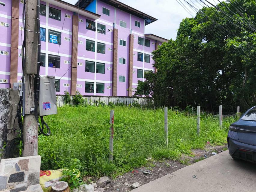 ขายที่ดินสวยถมแล้วคูบางหลวงสีม่วง 60 ตรว.ซอยเรณูอุทิศ ใกล้ถ.ปทุมธานี-บางเลน346-200เมตร อ.ลาดหลุมแก้ว ปทุมธานี 10