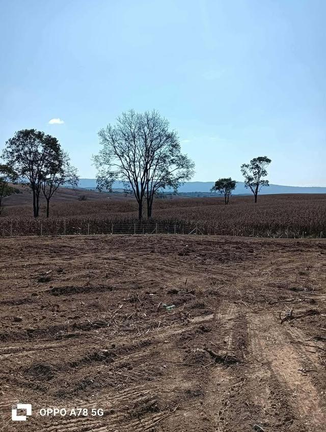 ที่ดินเปล่า ล้อมรั้วเรียบร้อย ถนน 3139 วังน้ำเขียว 5