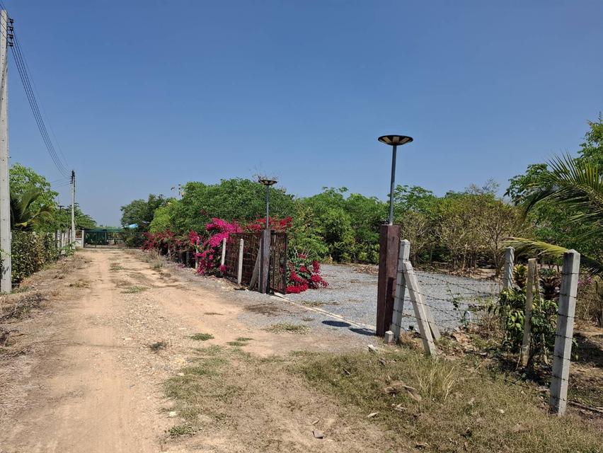 ขายที่ดิน 1 ไร่ จ.สุพรรณบุรี อ. เดิมบางนางบวช ที่ถมแล้วพร้อมเข้าอยู่ได้เลย 1